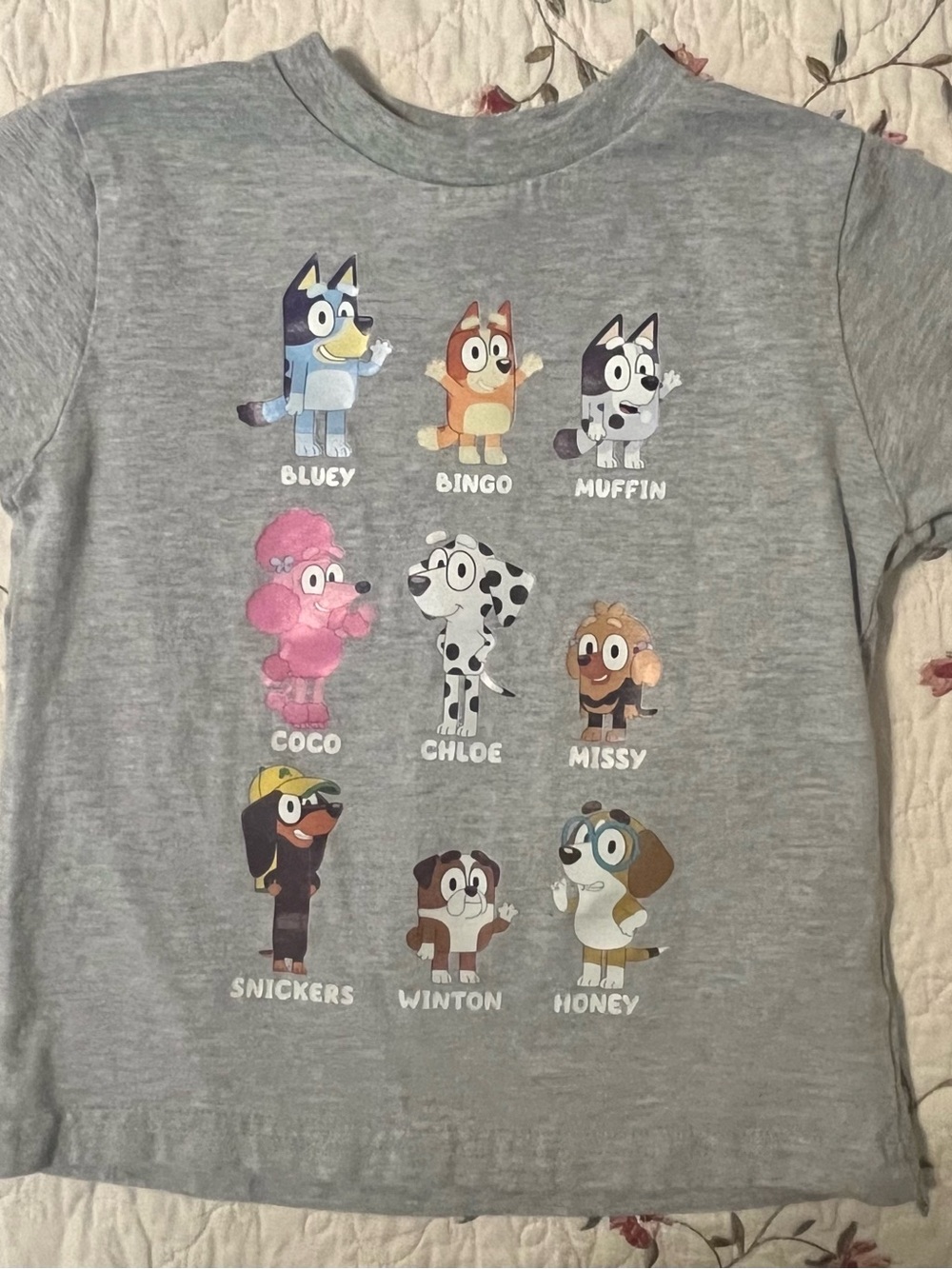 Bluey Characters Short Sleeve Tee - Kids - Gray